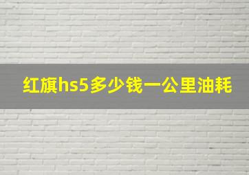 红旗hs5多少钱一公里油耗