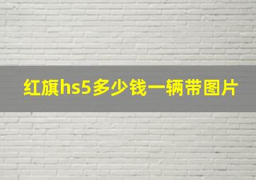 红旗hs5多少钱一辆带图片