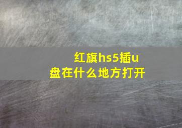 红旗hs5插u盘在什么地方打开