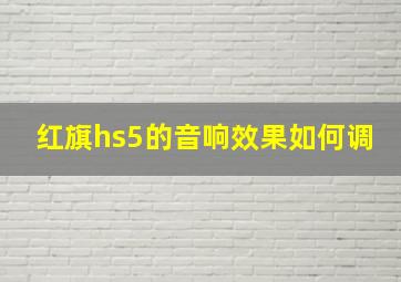 红旗hs5的音响效果如何调