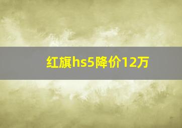 红旗hs5降价12万