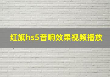 红旗hs5音响效果视频播放