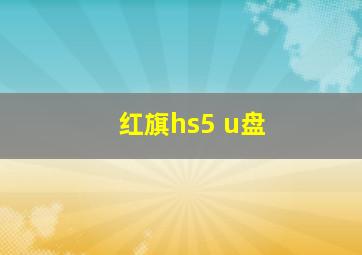 红旗hs5 u盘