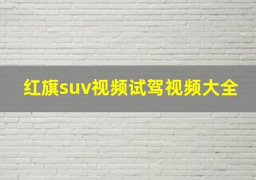 红旗suv视频试驾视频大全