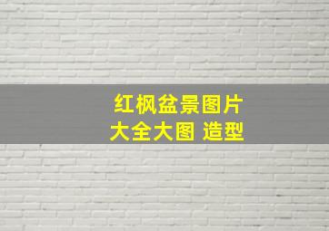 红枫盆景图片大全大图 造型