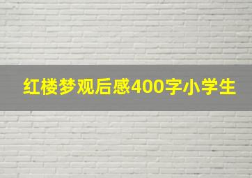 红楼梦观后感400字小学生