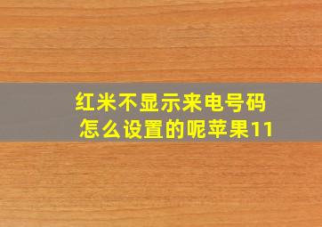 红米不显示来电号码怎么设置的呢苹果11