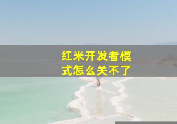 红米开发者模式怎么关不了