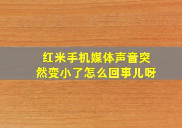 红米手机媒体声音突然变小了怎么回事儿呀