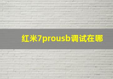 红米7prousb调试在哪