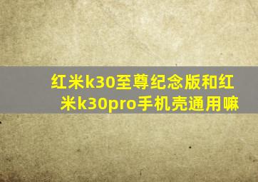 红米k30至尊纪念版和红米k30pro手机壳通用嘛