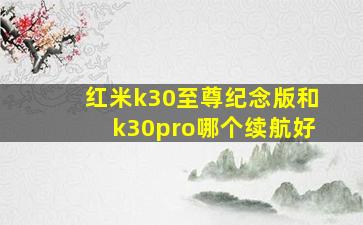 红米k30至尊纪念版和k30pro哪个续航好