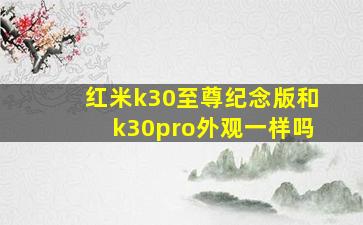 红米k30至尊纪念版和k30pro外观一样吗