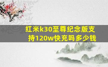 红米k30至尊纪念版支持120w快充吗多少钱