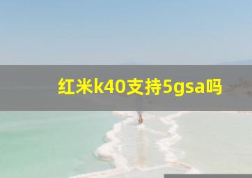 红米k40支持5gsa吗