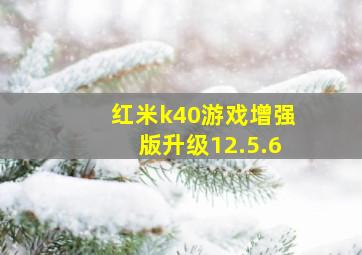 红米k40游戏增强版升级12.5.6