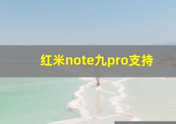 红米note九pro支持