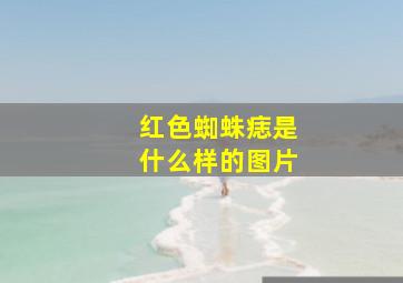 红色蜘蛛痣是什么样的图片