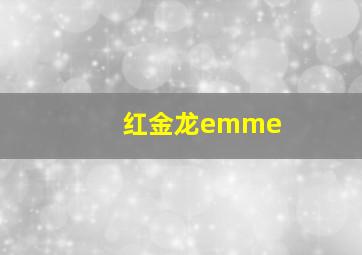 红金龙emme