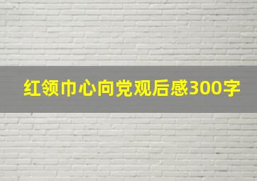 红领巾心向党观后感300字