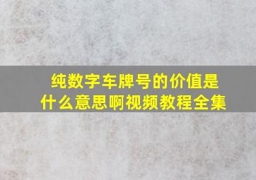 纯数字车牌号的价值是什么意思啊视频教程全集