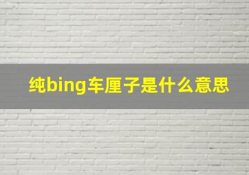 纯bing车厘子是什么意思