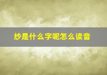 纱是什么字呢怎么读音