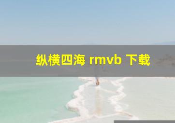 纵横四海 rmvb 下载