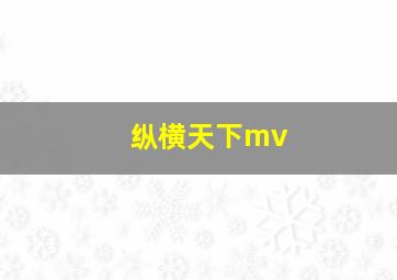 纵横天下mv