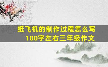 纸飞机的制作过程怎么写100字左右三年级作文