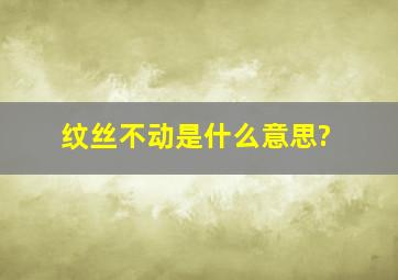 纹丝不动是什么意思?