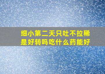 细小第二天只吐不拉稀是好转吗吃什么药能好