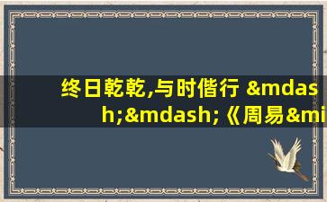 终日乾乾,与时偕行 ——《周易·乾·文言》