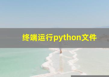 终端运行python文件