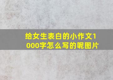 给女生表白的小作文1000字怎么写的呢图片