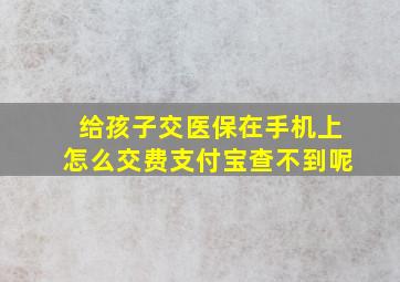 给孩子交医保在手机上怎么交费支付宝查不到呢