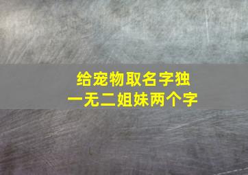 给宠物取名字独一无二姐妹两个字