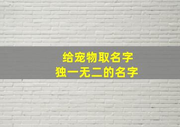 给宠物取名字独一无二的名字