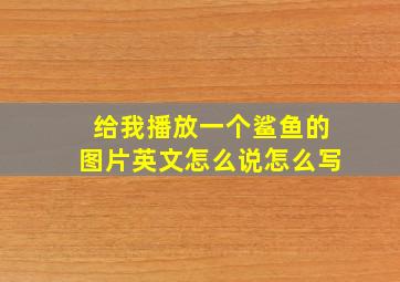 给我播放一个鲨鱼的图片英文怎么说怎么写