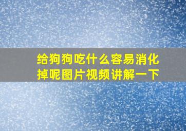 给狗狗吃什么容易消化掉呢图片视频讲解一下