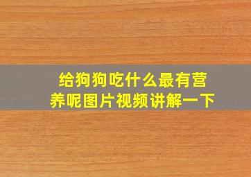 给狗狗吃什么最有营养呢图片视频讲解一下