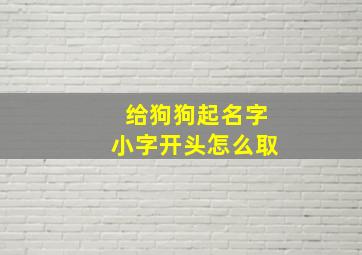 给狗狗起名字小字开头怎么取