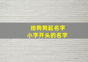 给狗狗起名字小字开头的名字