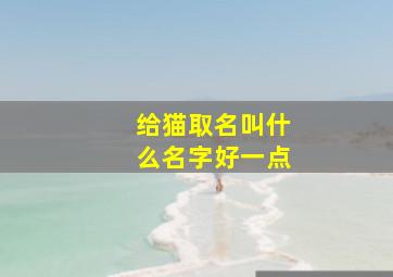 给猫取名叫什么名字好一点