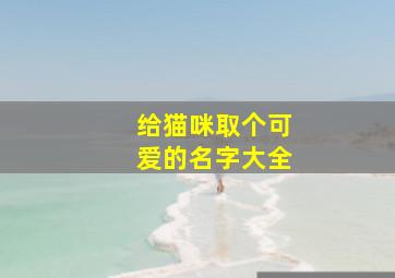 给猫咪取个可爱的名字大全