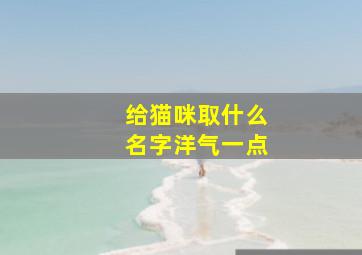 给猫咪取什么名字洋气一点