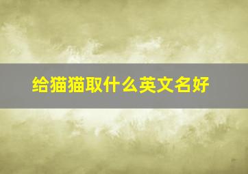 给猫猫取什么英文名好