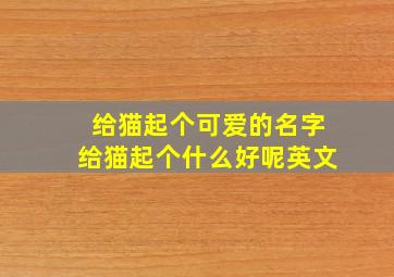 给猫起个可爱的名字给猫起个什么好呢英文