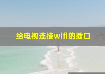 给电视连接wifi的插口