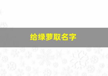 给绿萝取名字